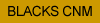 Blacks Charpy Maschine